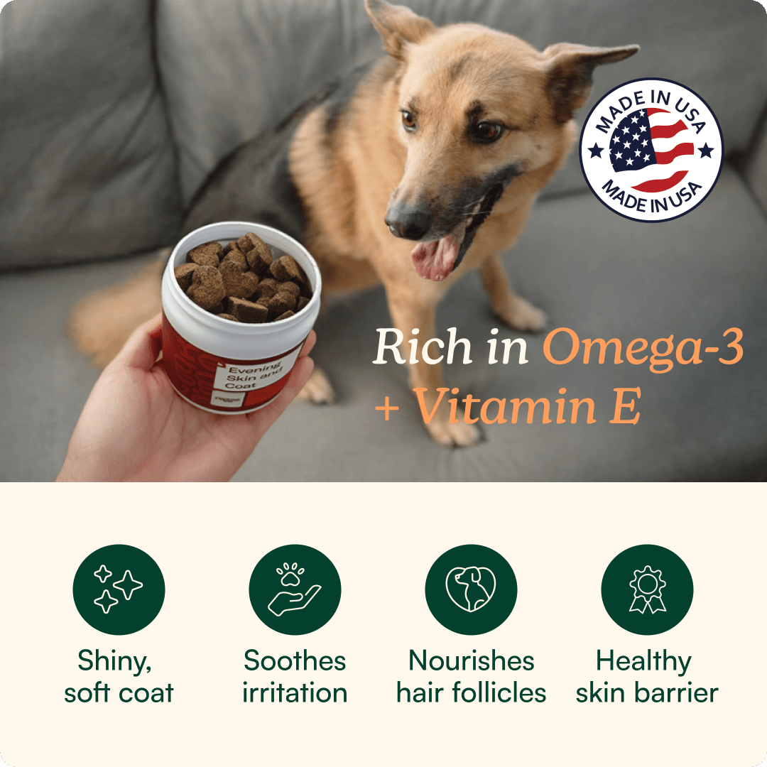 Evening Skin + Coat Chews