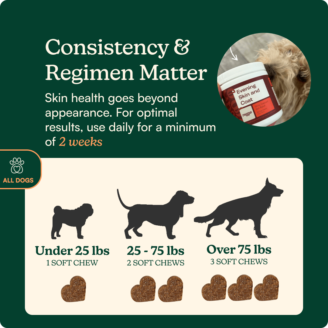 Evening Skin + Coat Chews