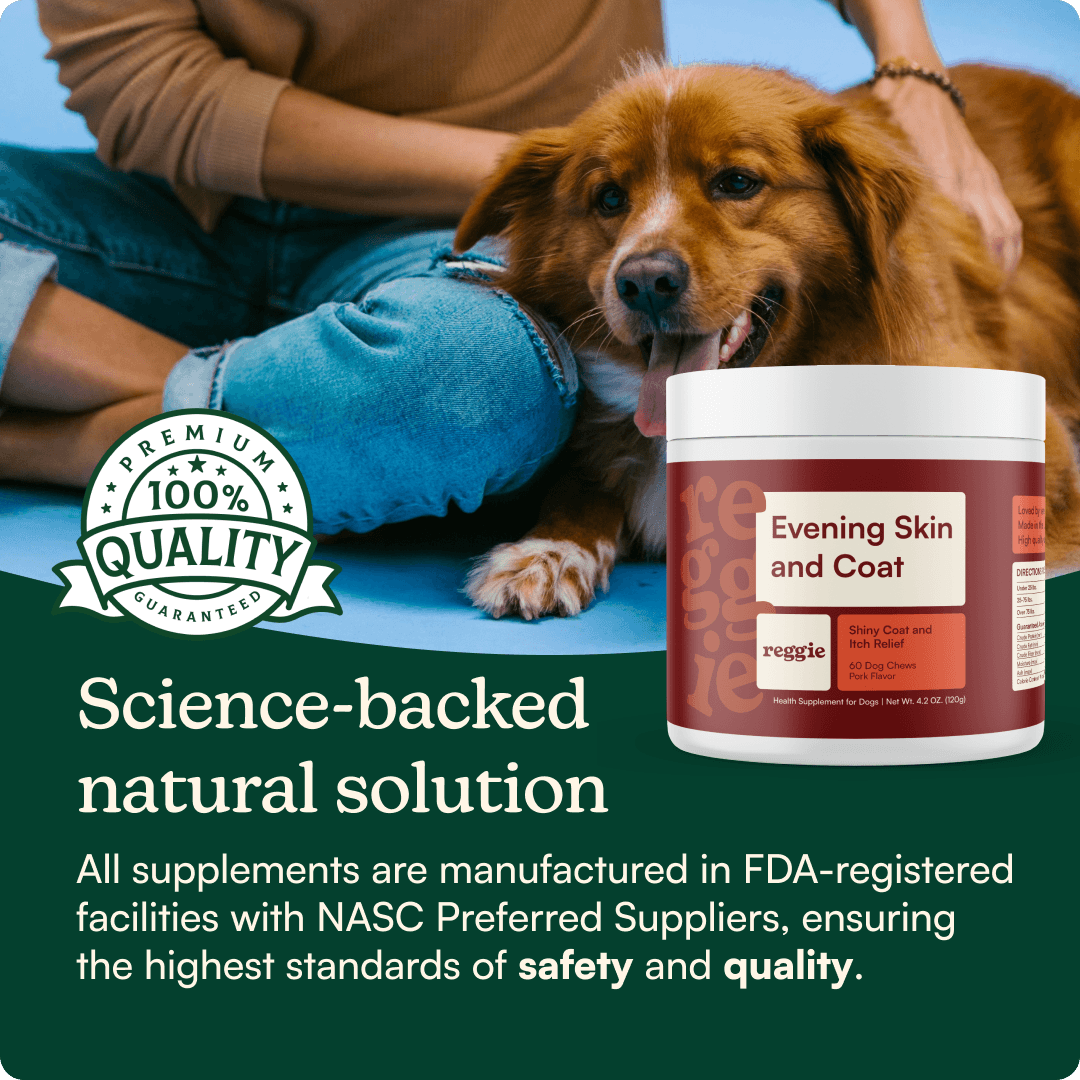 Evening Skin + Coat Chews
