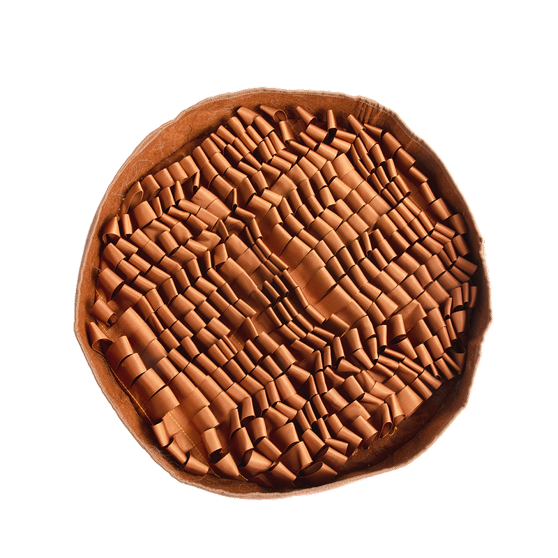 Container of heart-shaped dog chews for skin and coat health.