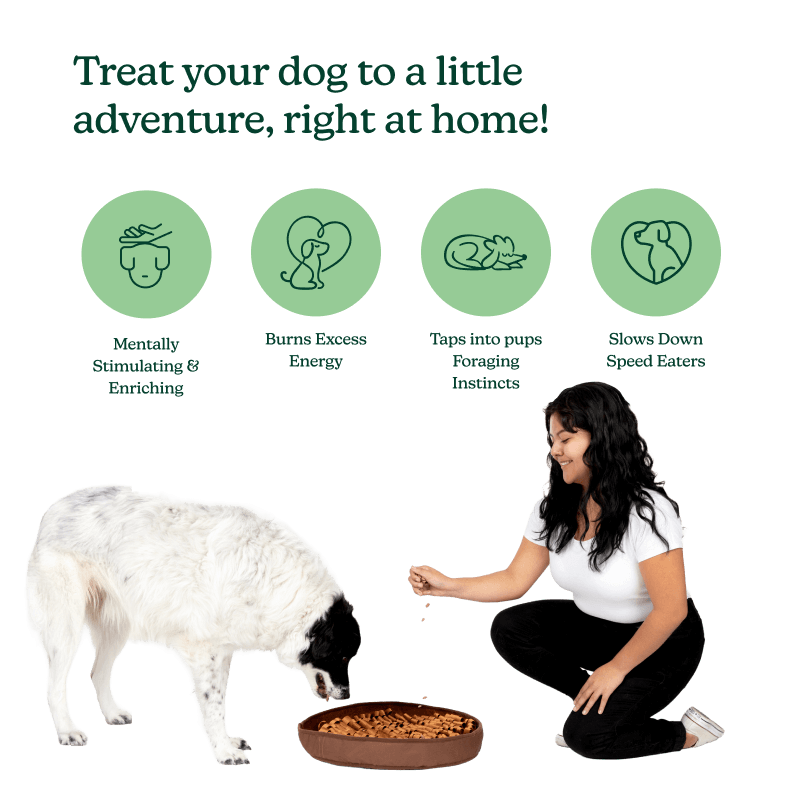 Stimulating Feeder Mat