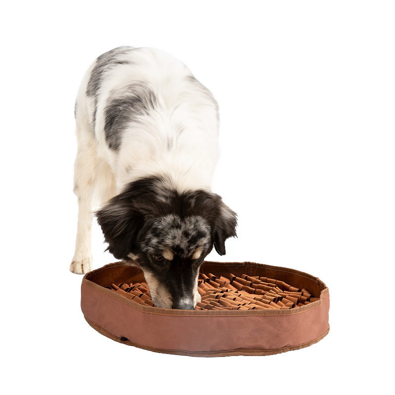 Stimulating Feeder Mat
