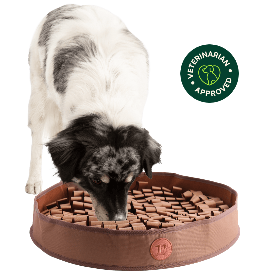 Stimulating Feeder Mat For Dog