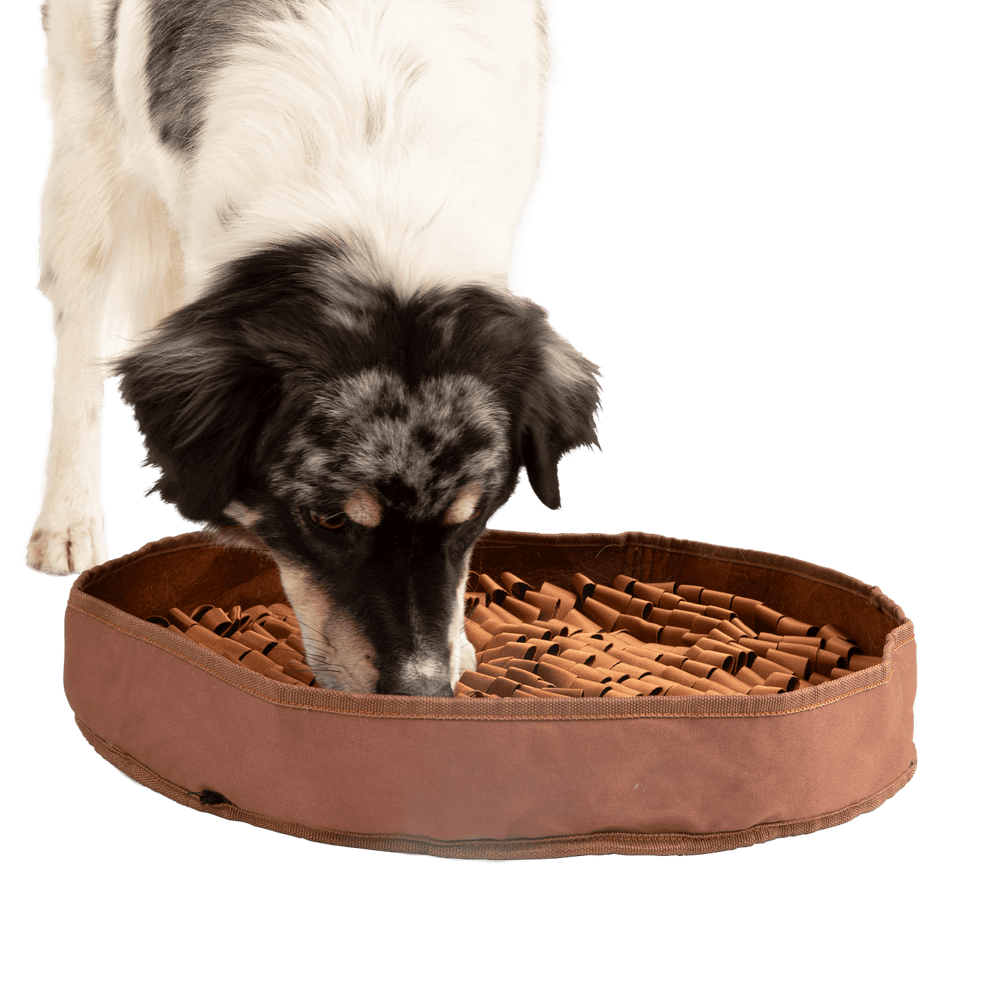 Stimulating Feeder Mat