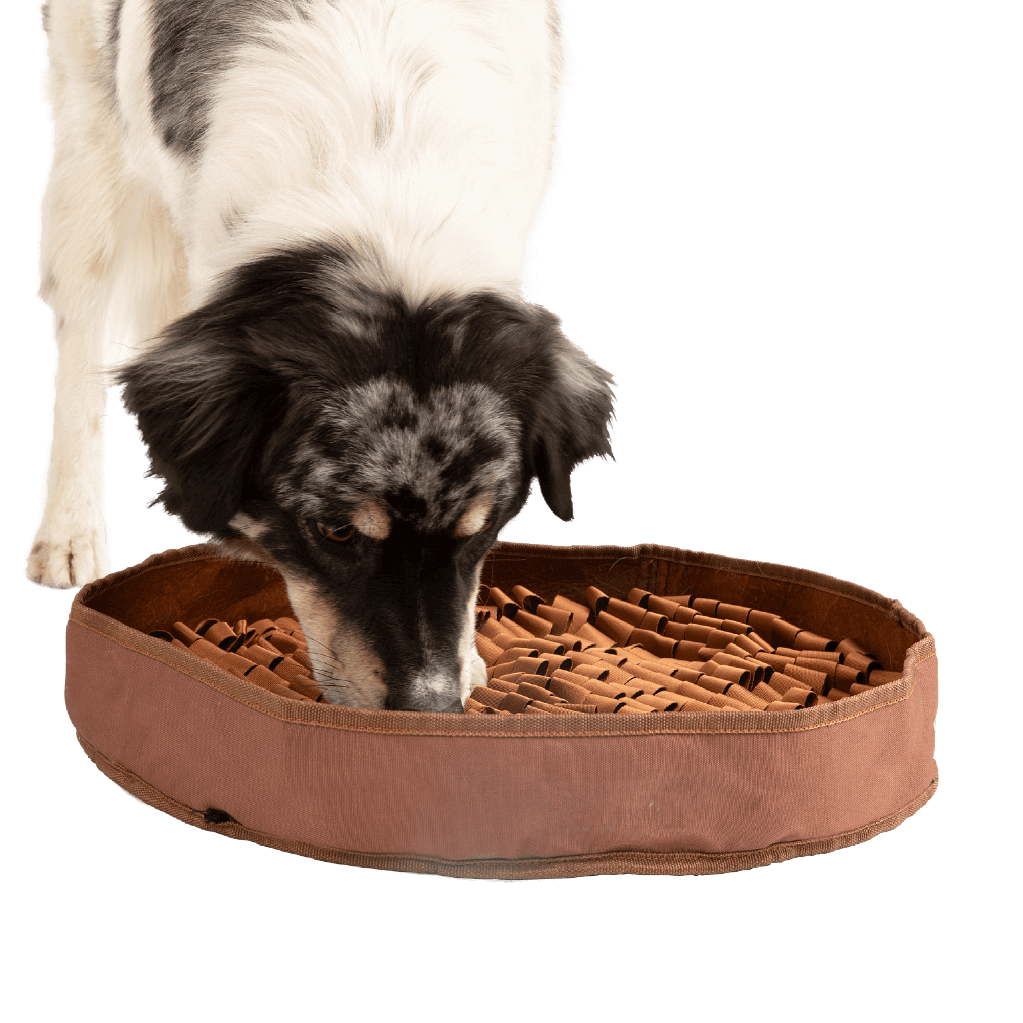 Stimulating Feeder Mat