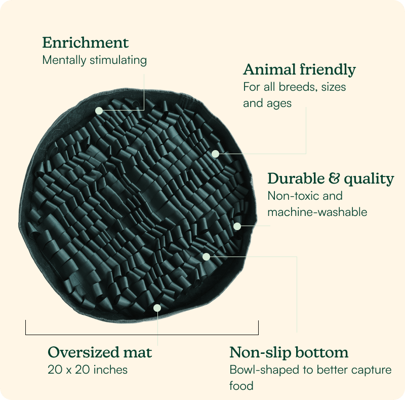 Stimulating Feeder Mat
