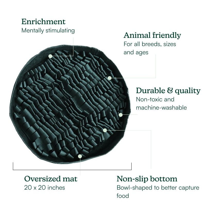 Stimulating Feeder Mat