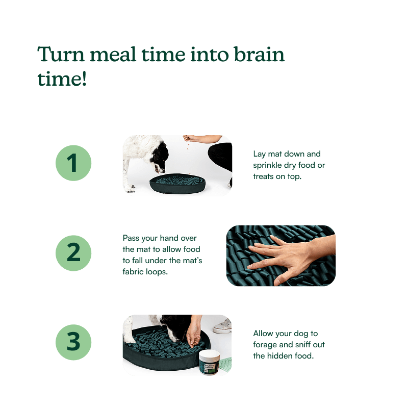 Stimulating Feeder Mat