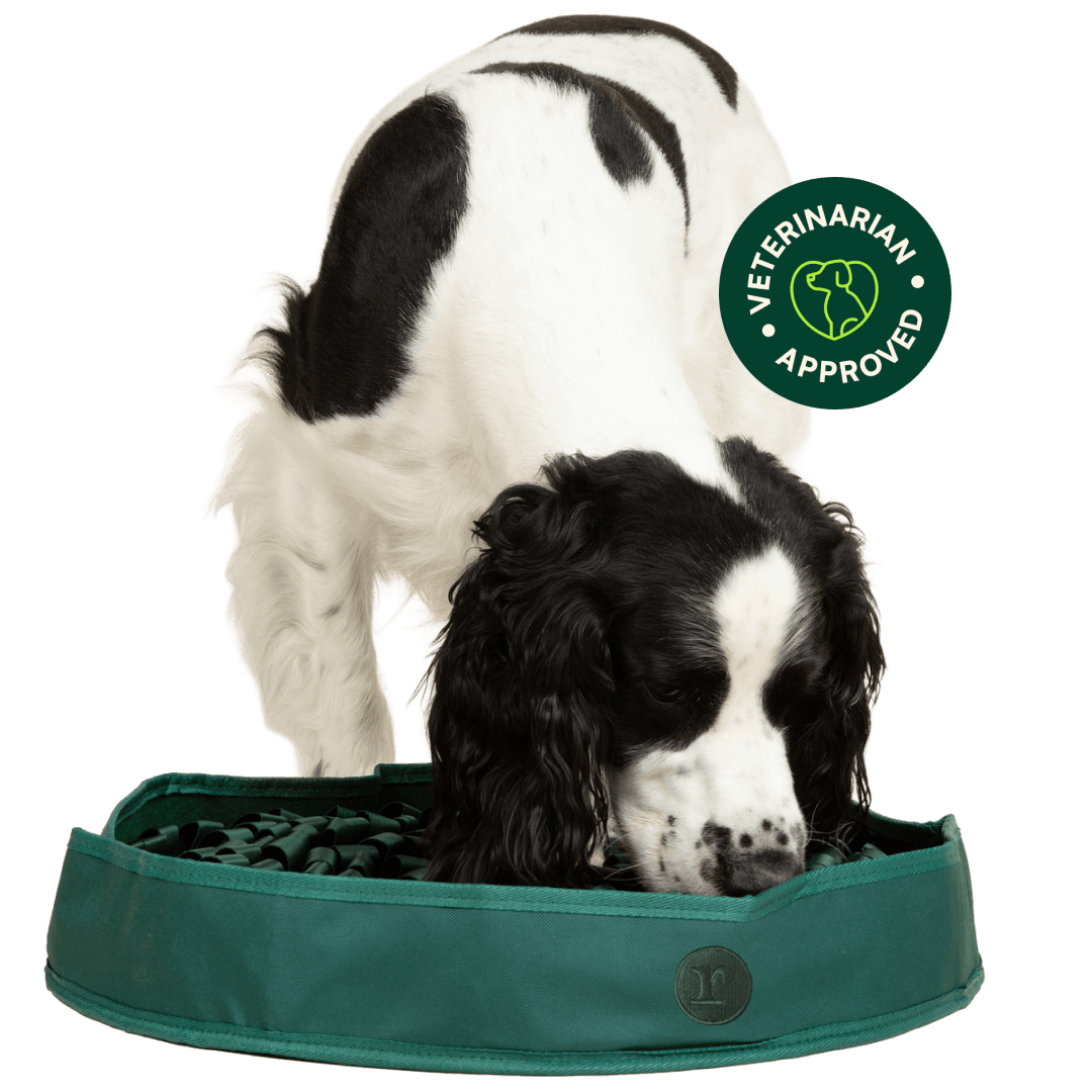 Stimulating Feeder Mat For Dog