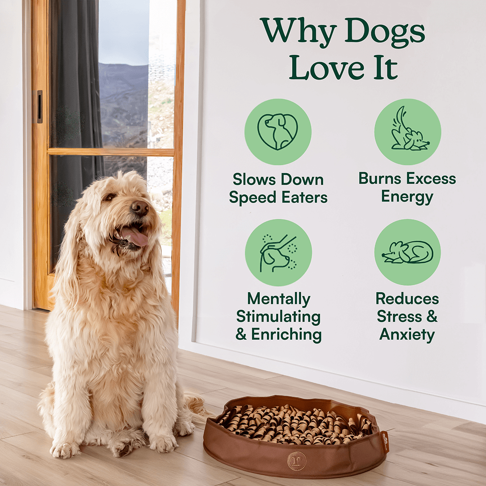 Stimulating Feeder Mat