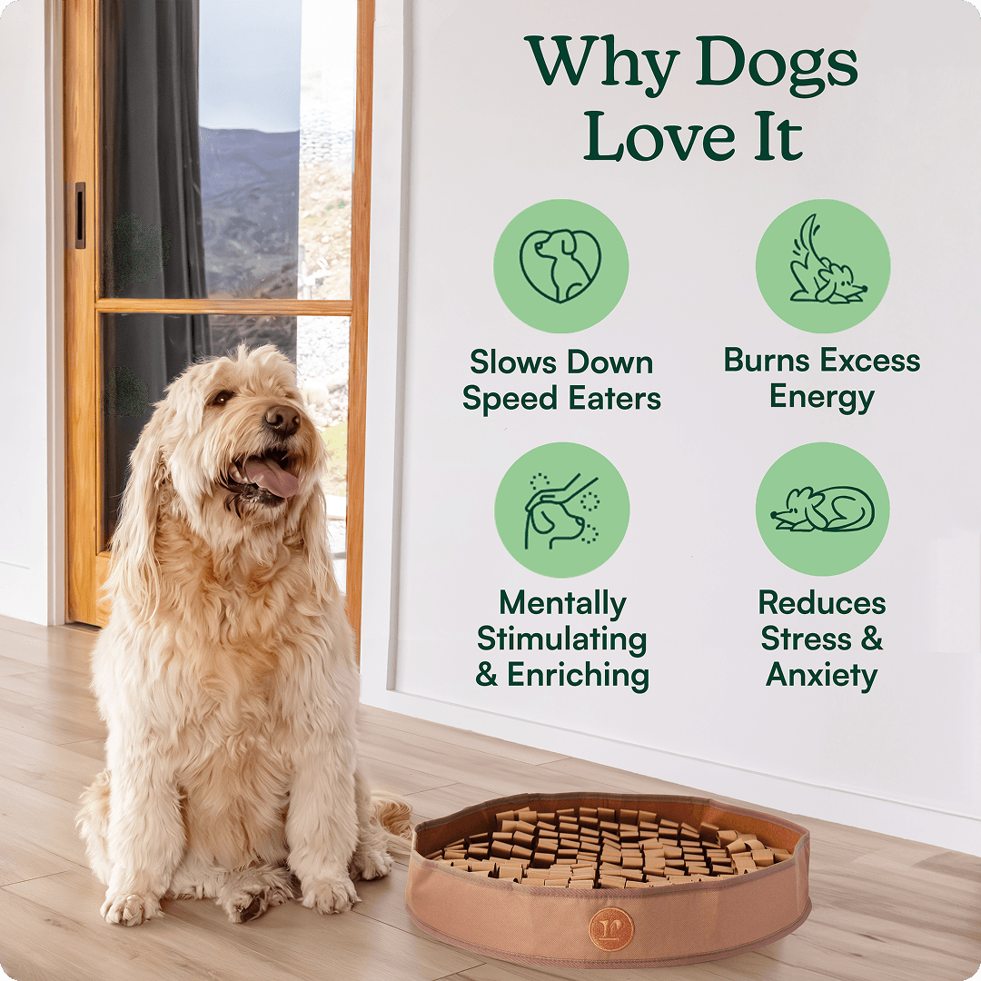 Stimulating Snuffle Mat For Dog
