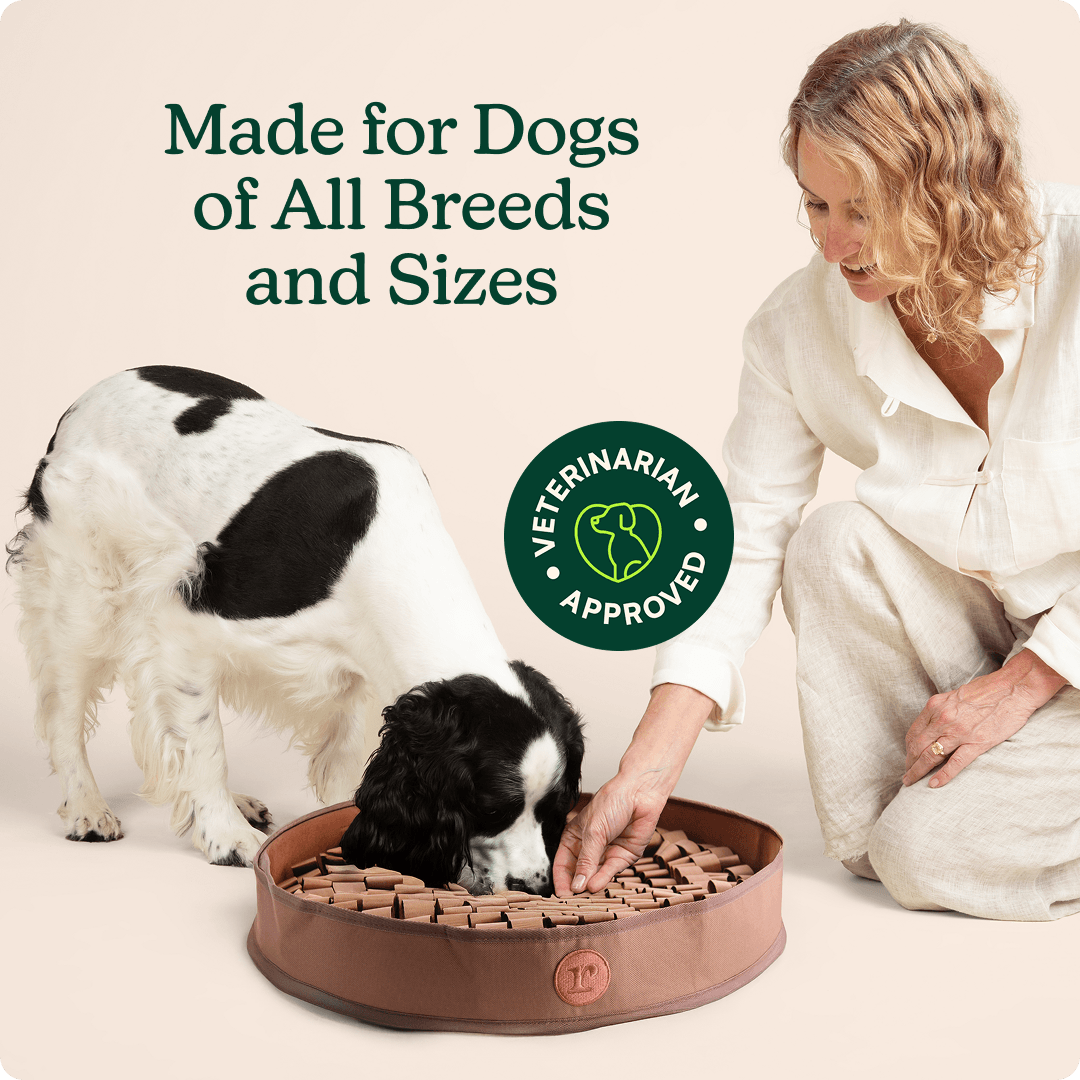 Stimulating Snuffle Mat For Dog