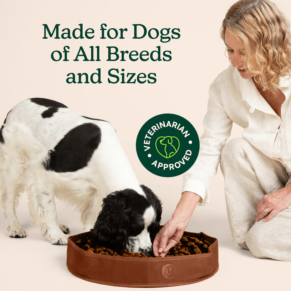 Stimulating Feeder Mat