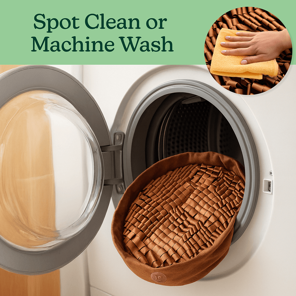 Container of heart-shaped dog chews for skin and coat health.