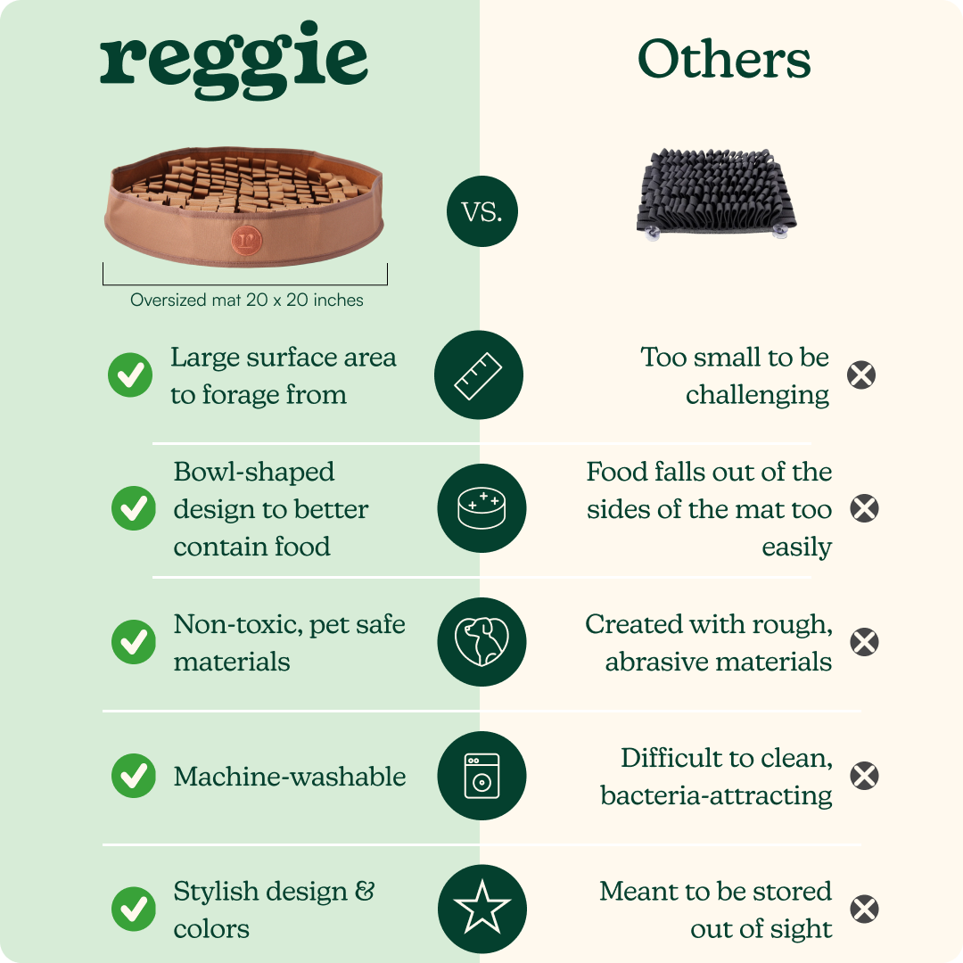 Container of heart-shaped dog chews for skin and coat health.