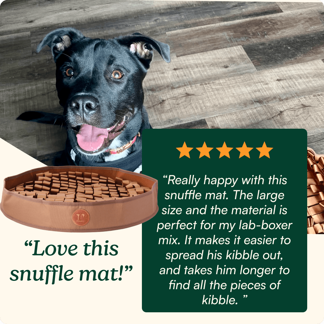 Stimulating Snuffle Mat For Dog