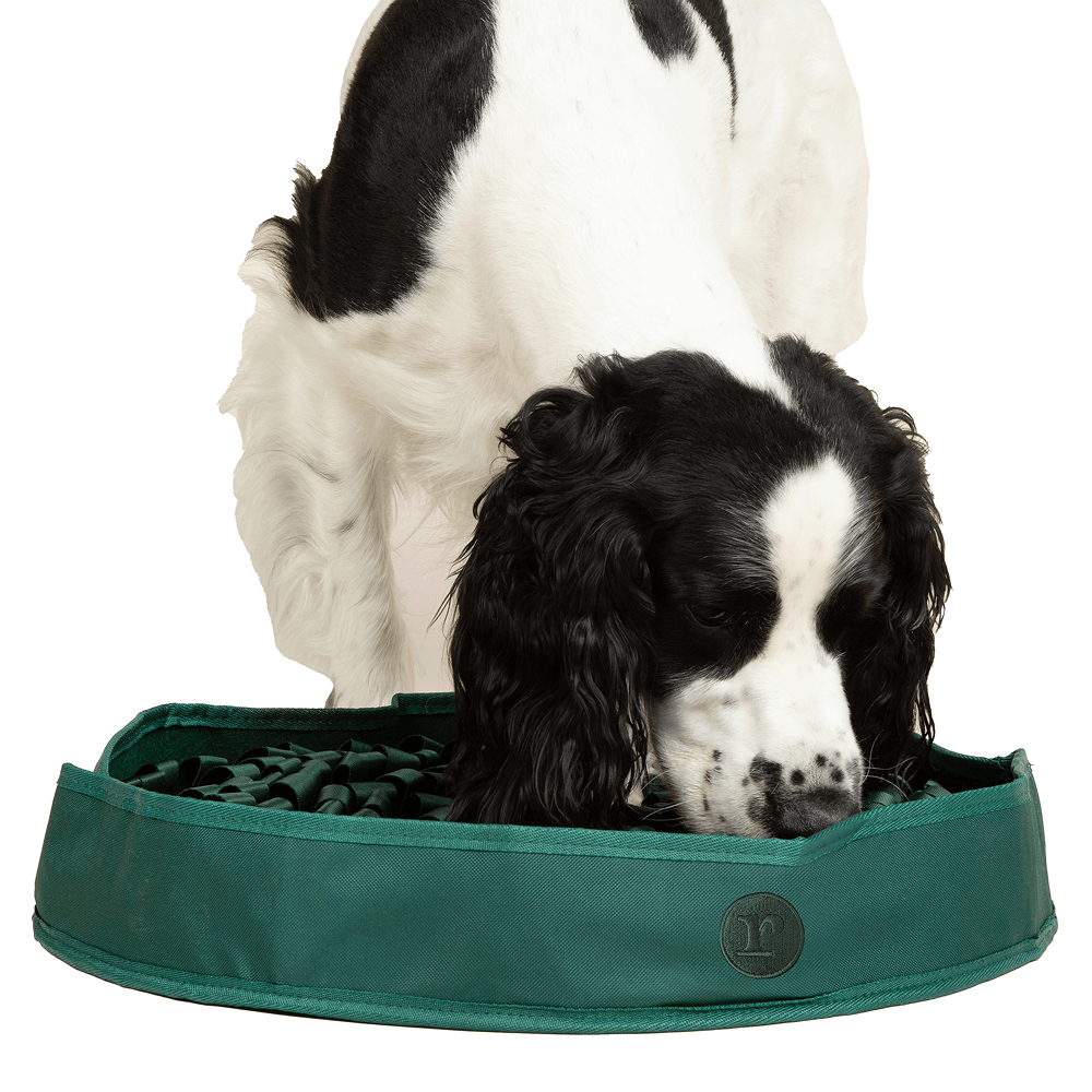 High-Protein Snuffle Mat Bundle