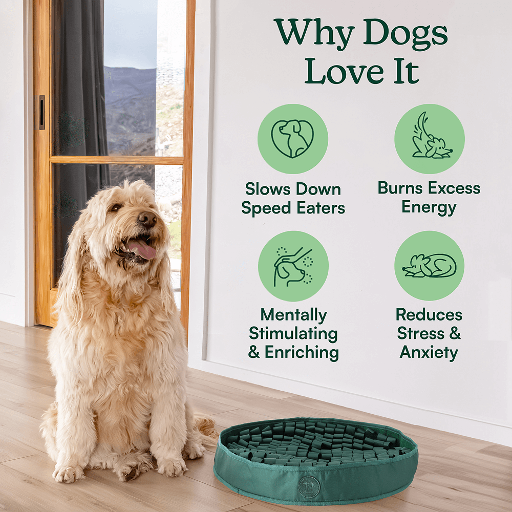 High-Protein Feeder Mat Bundle