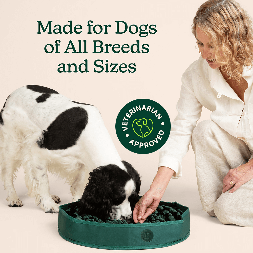 High-Protein Snuffle Mat Bundle