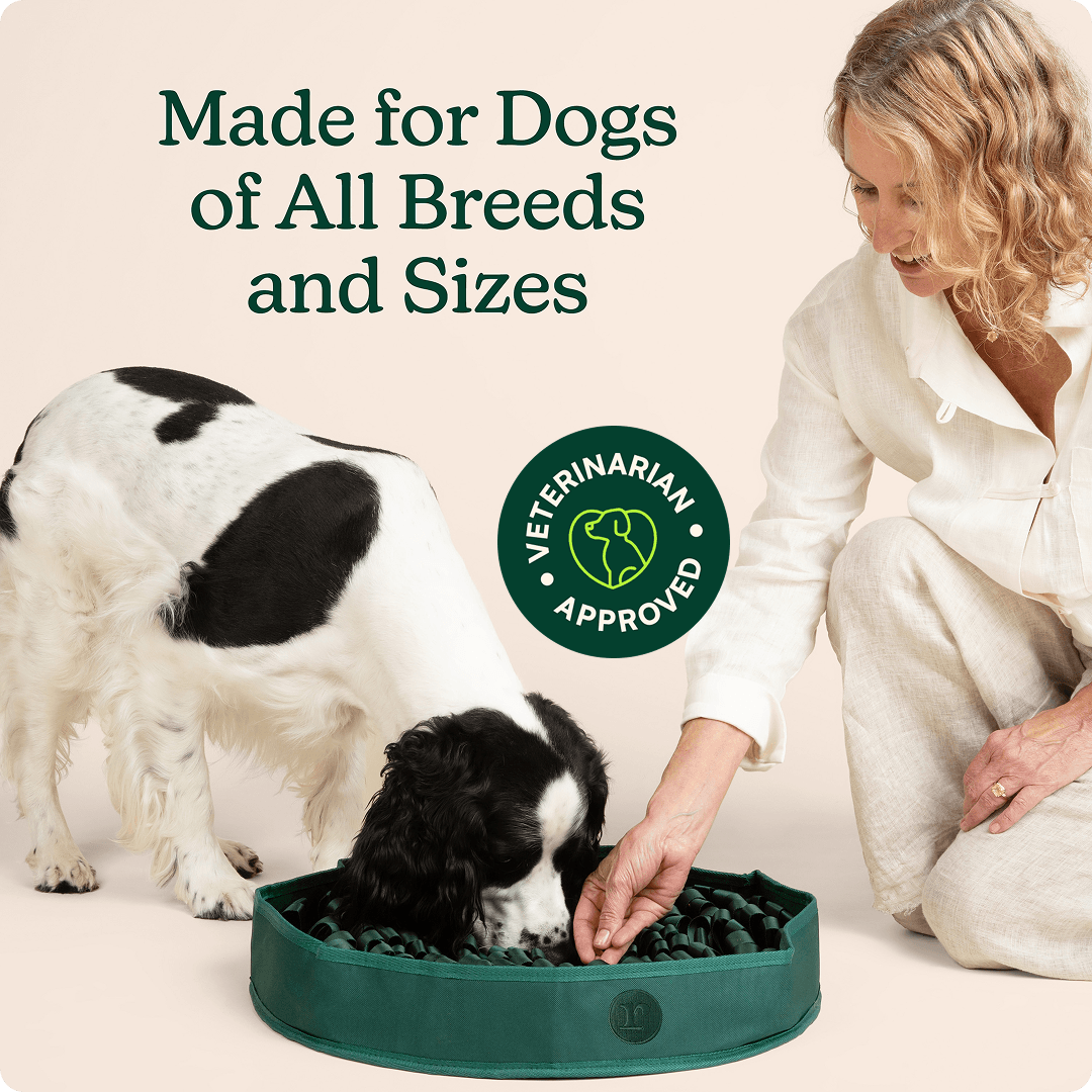 Stimulating Snuffle Mat For Dog