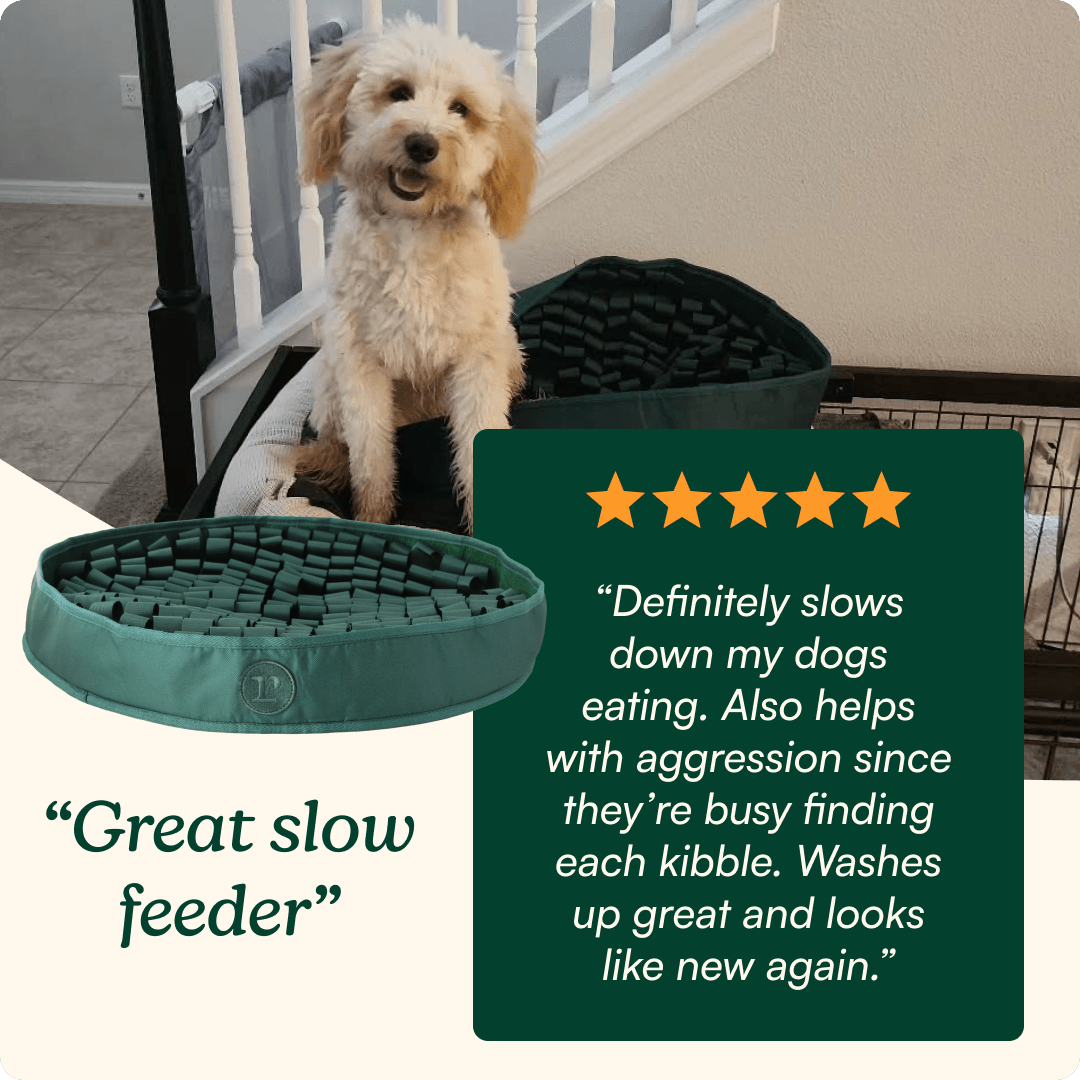 Stimulating Snuffle Mat For Dog