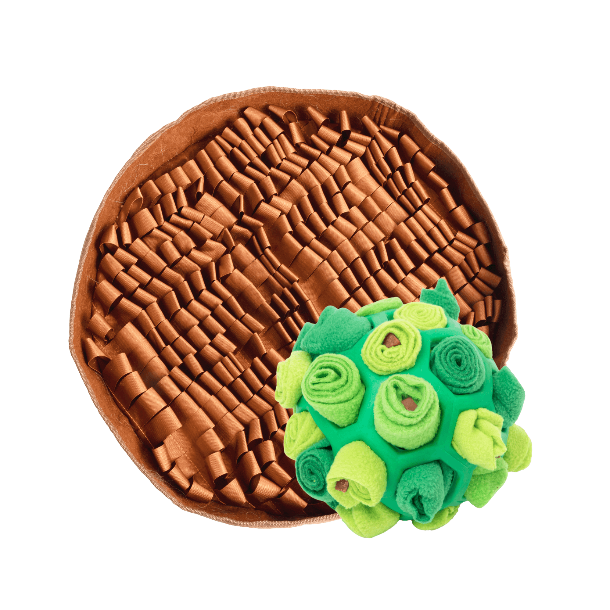 Forager Kit