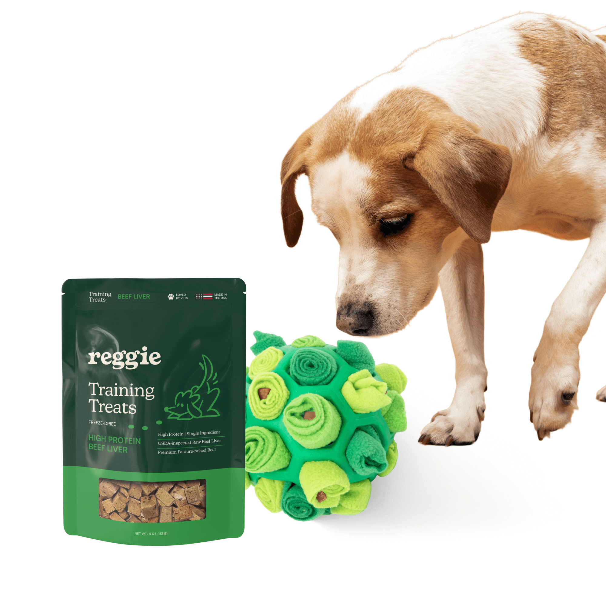 High-Protein Forager Ball Bundle