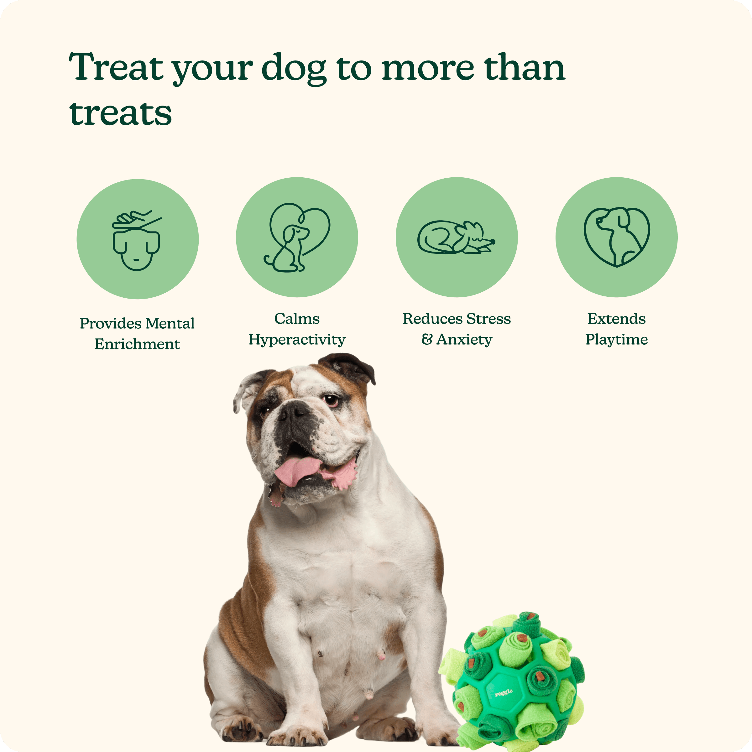 Forager Ball For Dogs