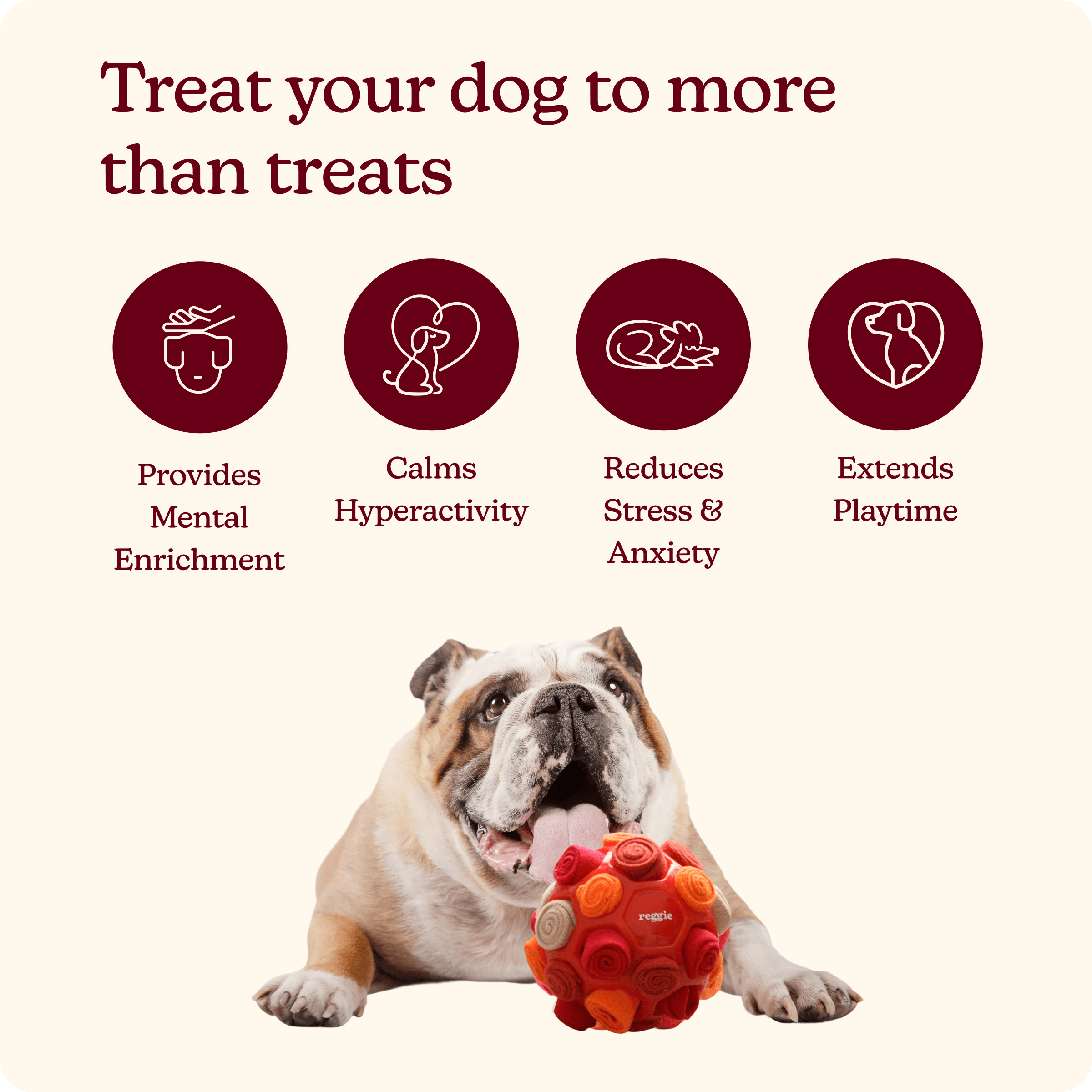 Snuffle Ball For Dogs