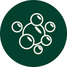 Freshens Breath​