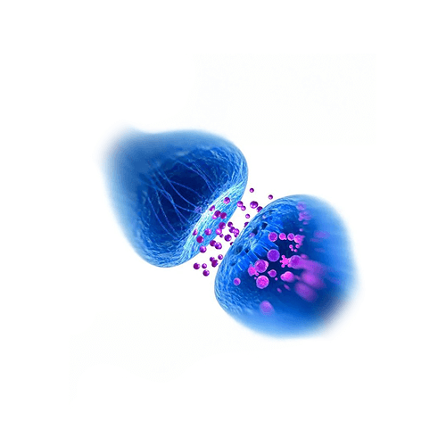 Gamma-aminobutyric acid (GABA)