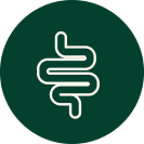 Gut & Immunity Support​