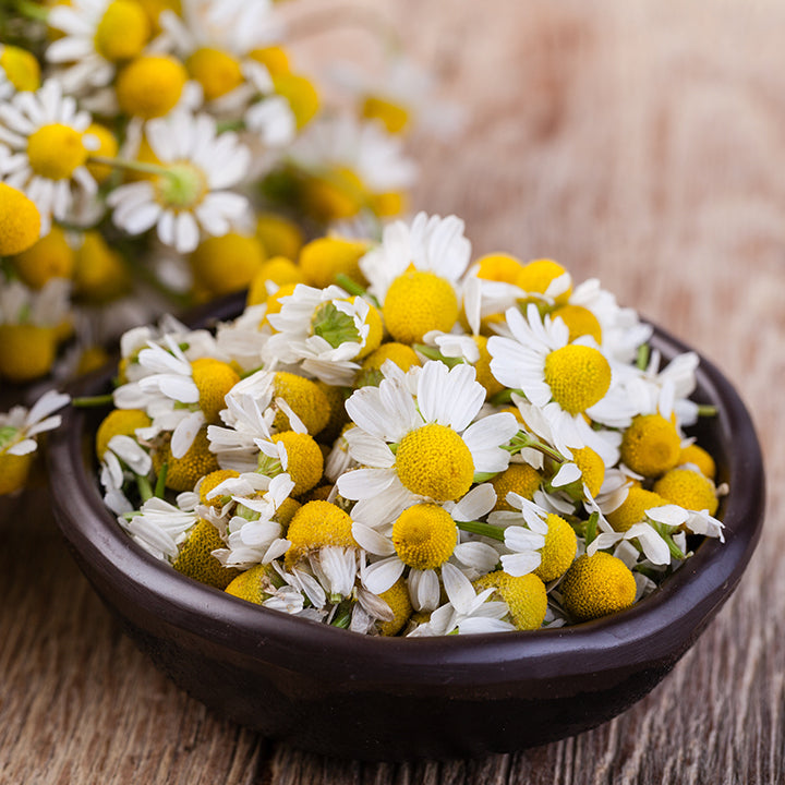 Chamomile