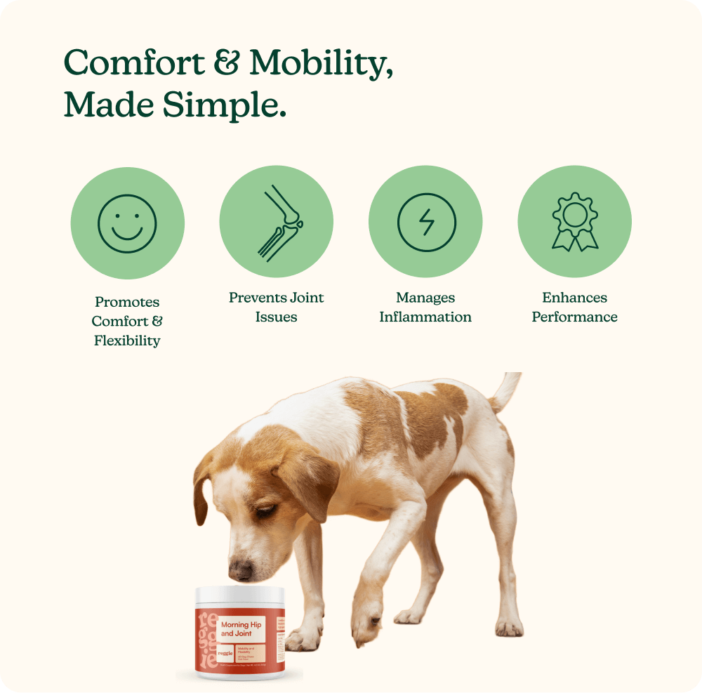 Morning Hip + Joint Chews