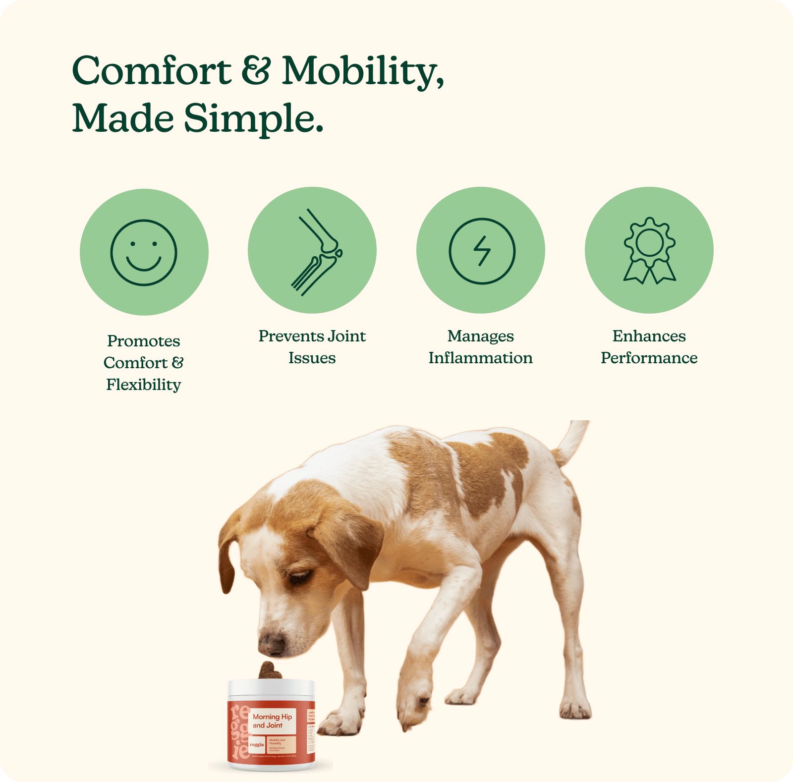 Morning Hip + Joint Chews