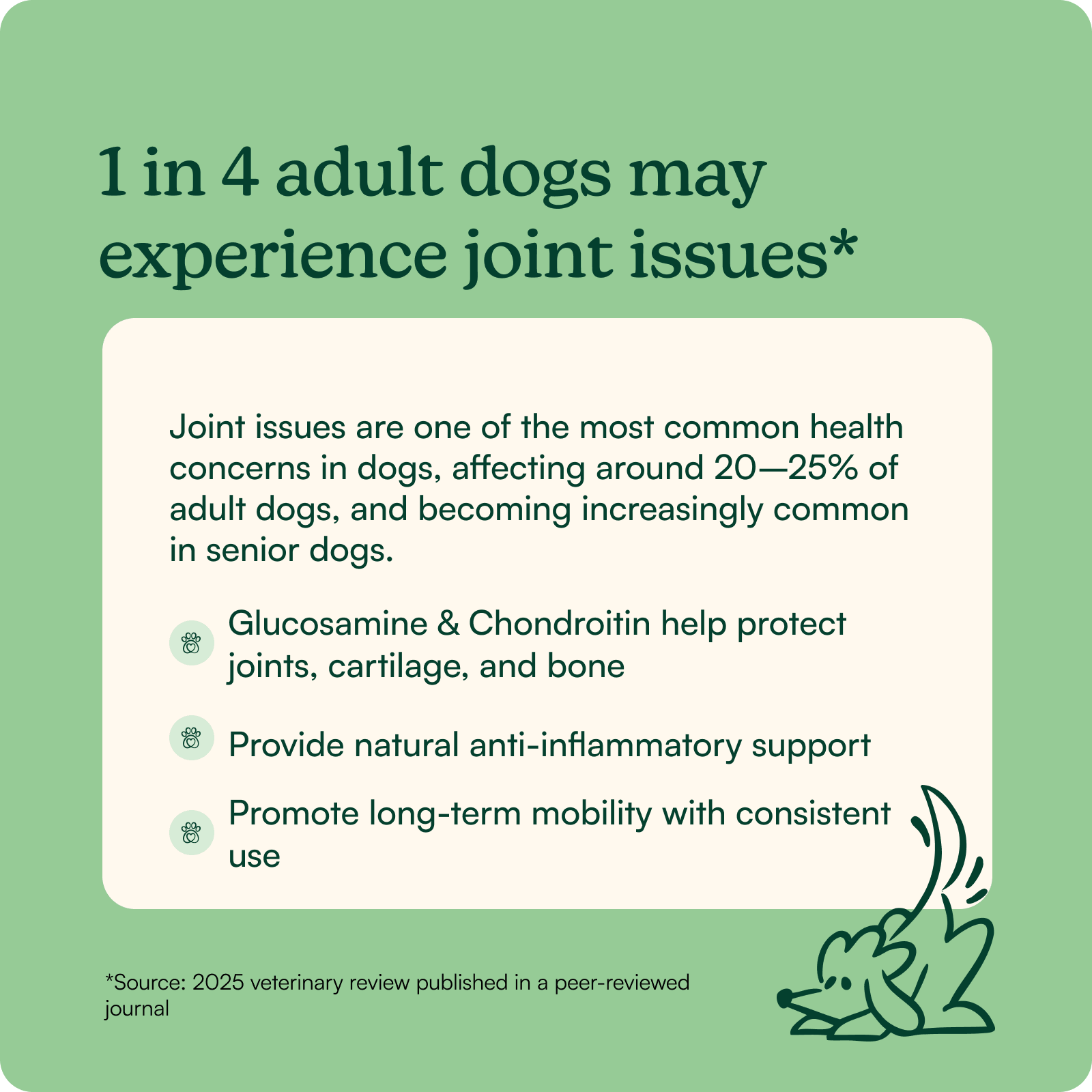 Morning Hip + Joint Chews