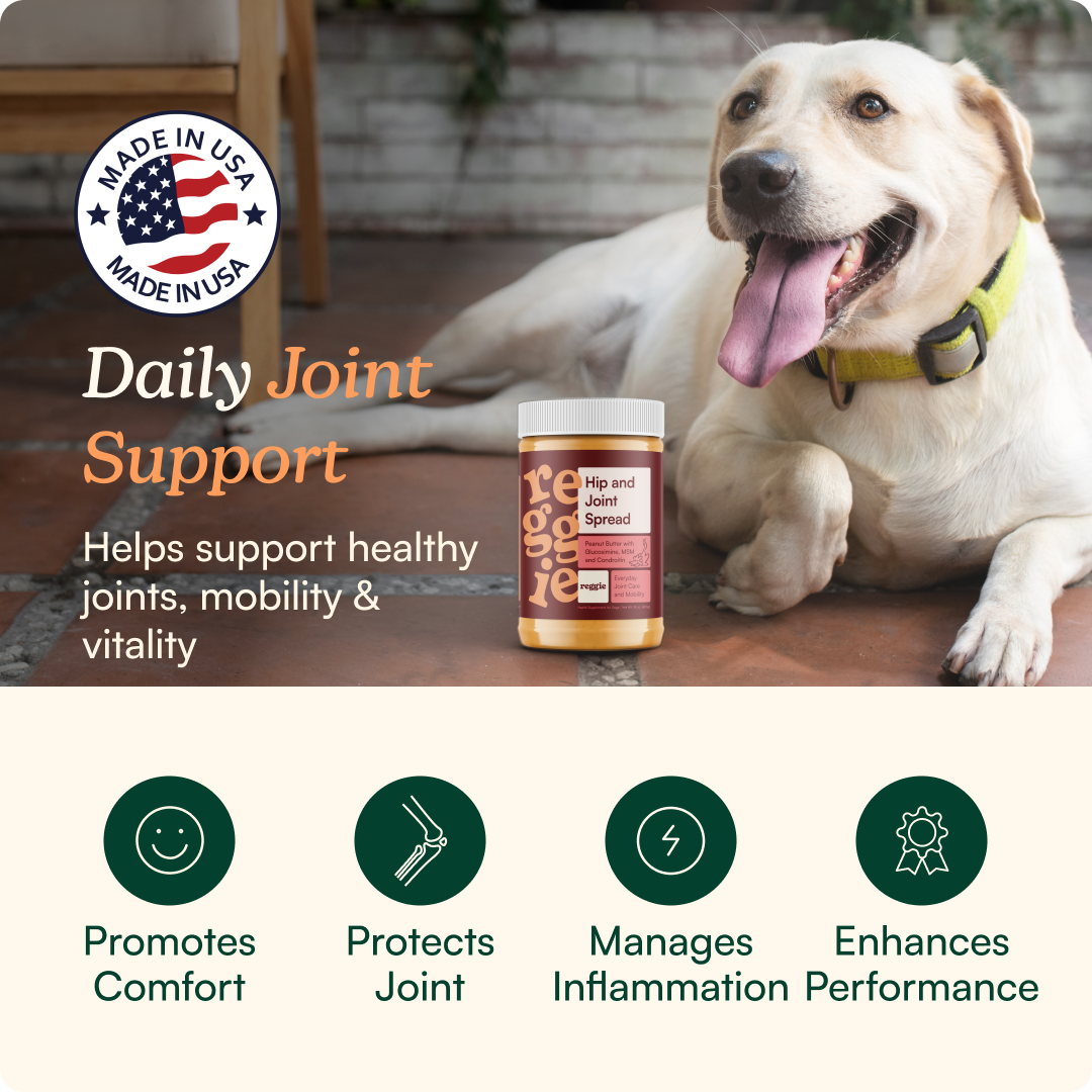 Calm & Mobility Bundle