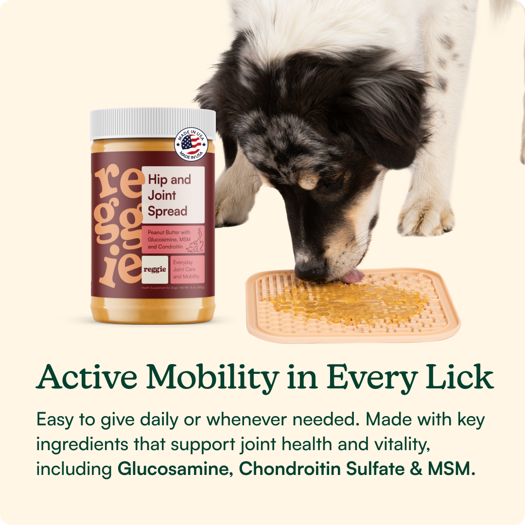 Healthy Joint Happy Licks