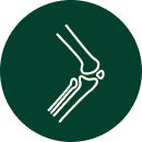 Joint Health Support​