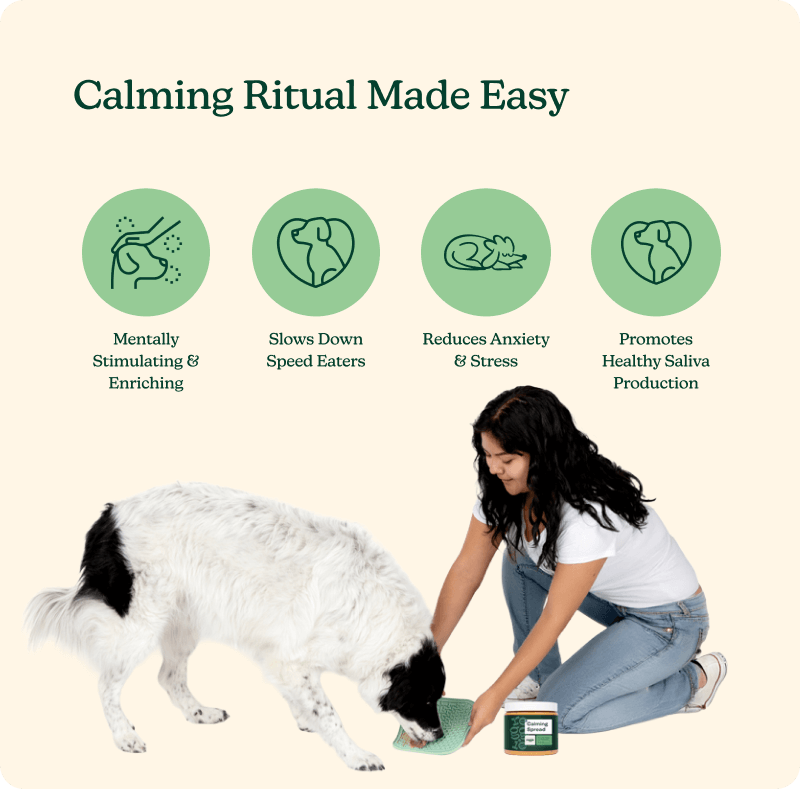 Soothing Lick Mat