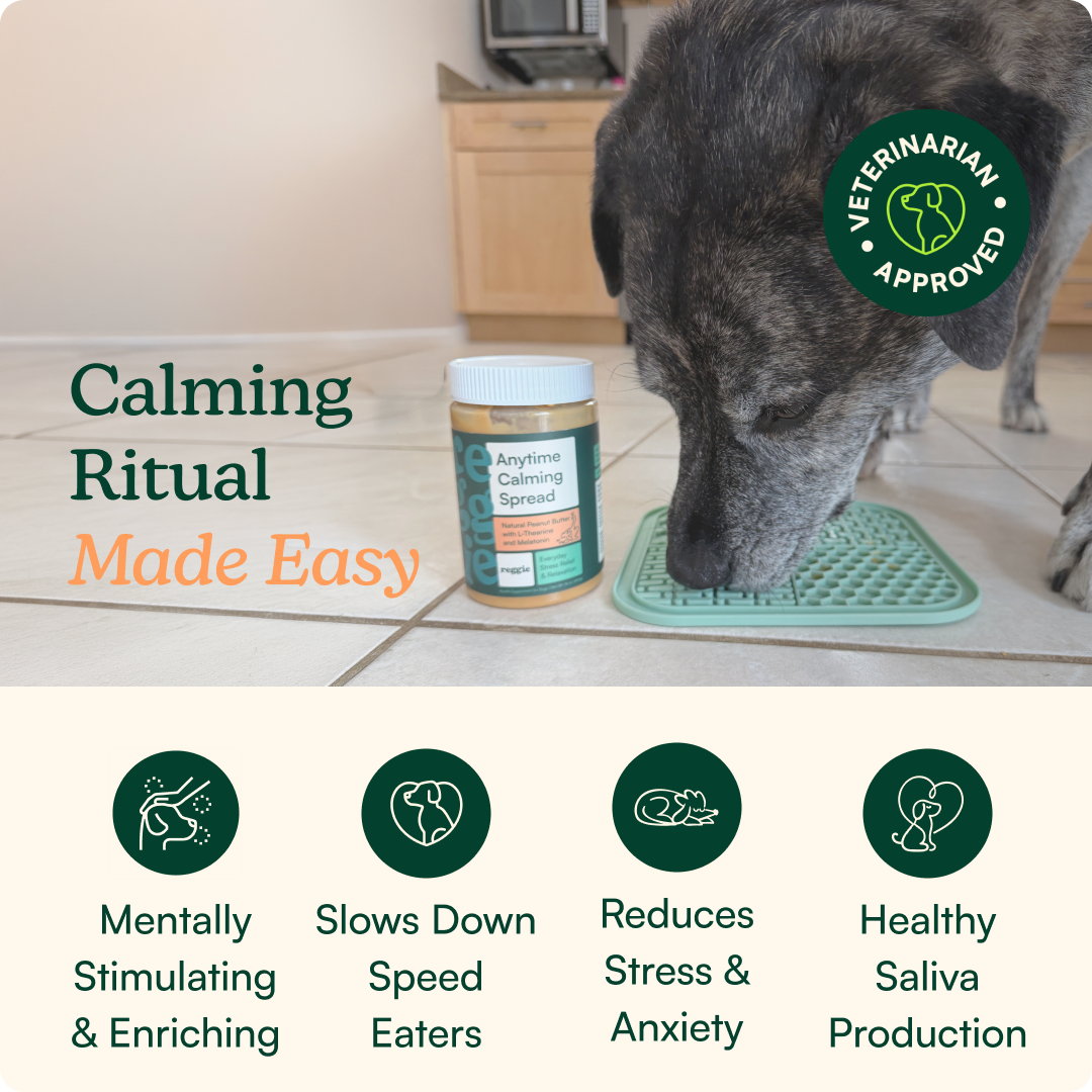 Soothing Lick Mat