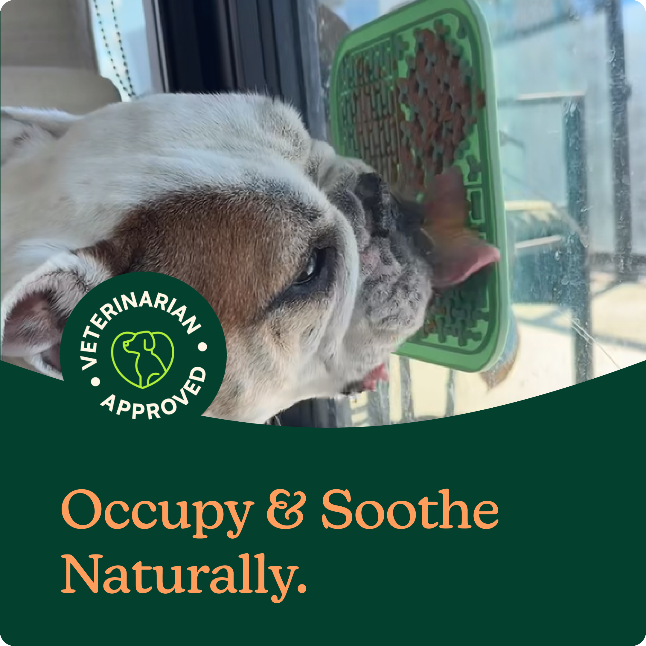 Soothing Lick Mat