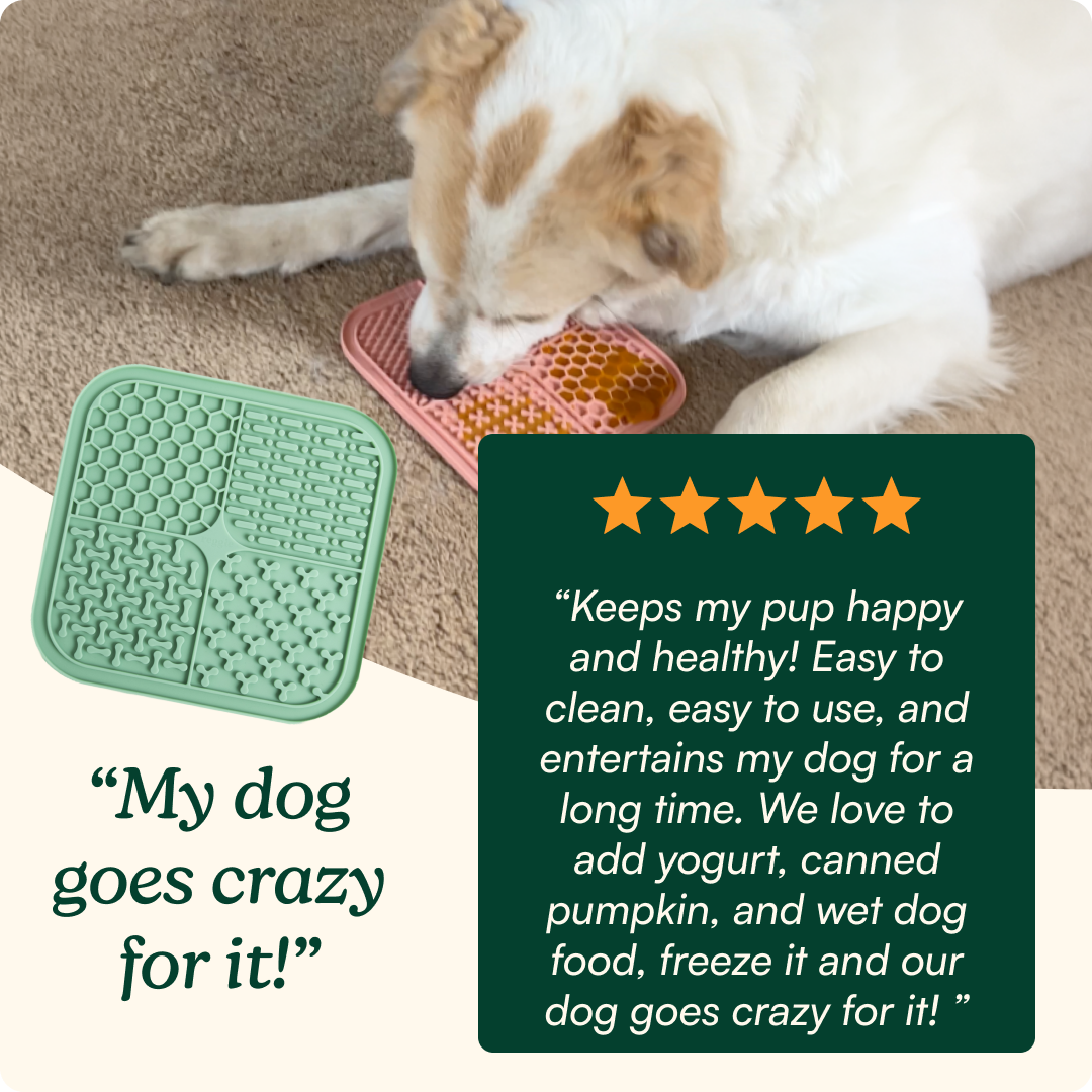 Soothing Lick Mat