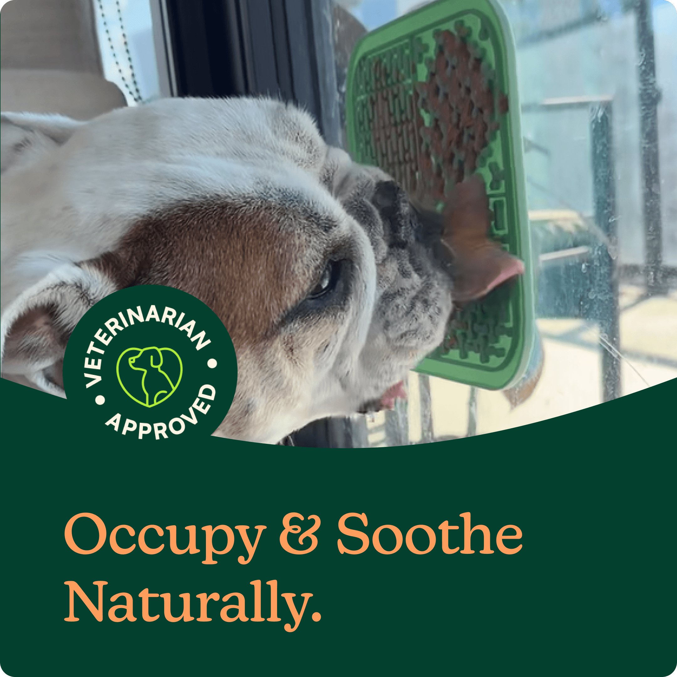 Soothing Lick Mat