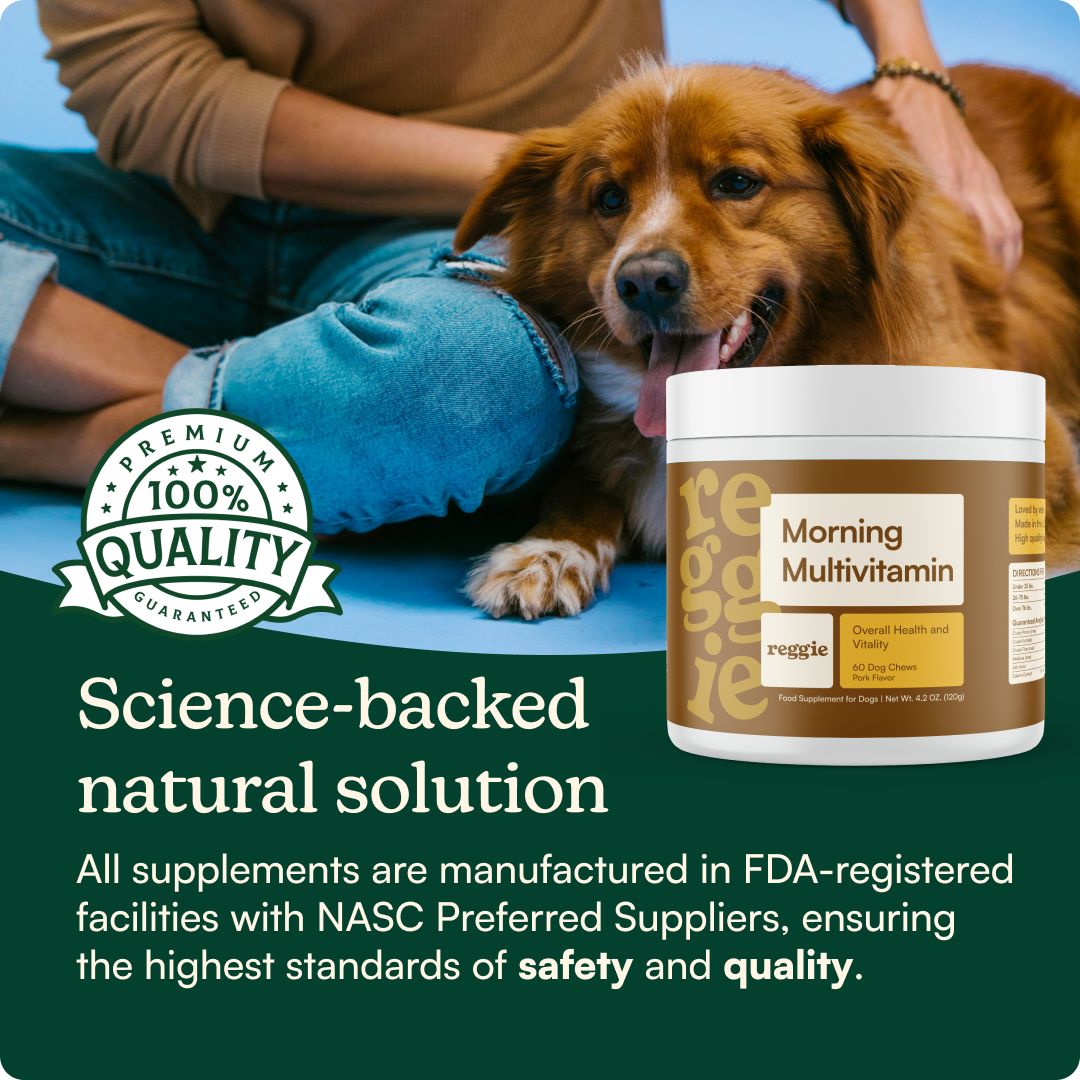 Morning Multivitamin Chews
