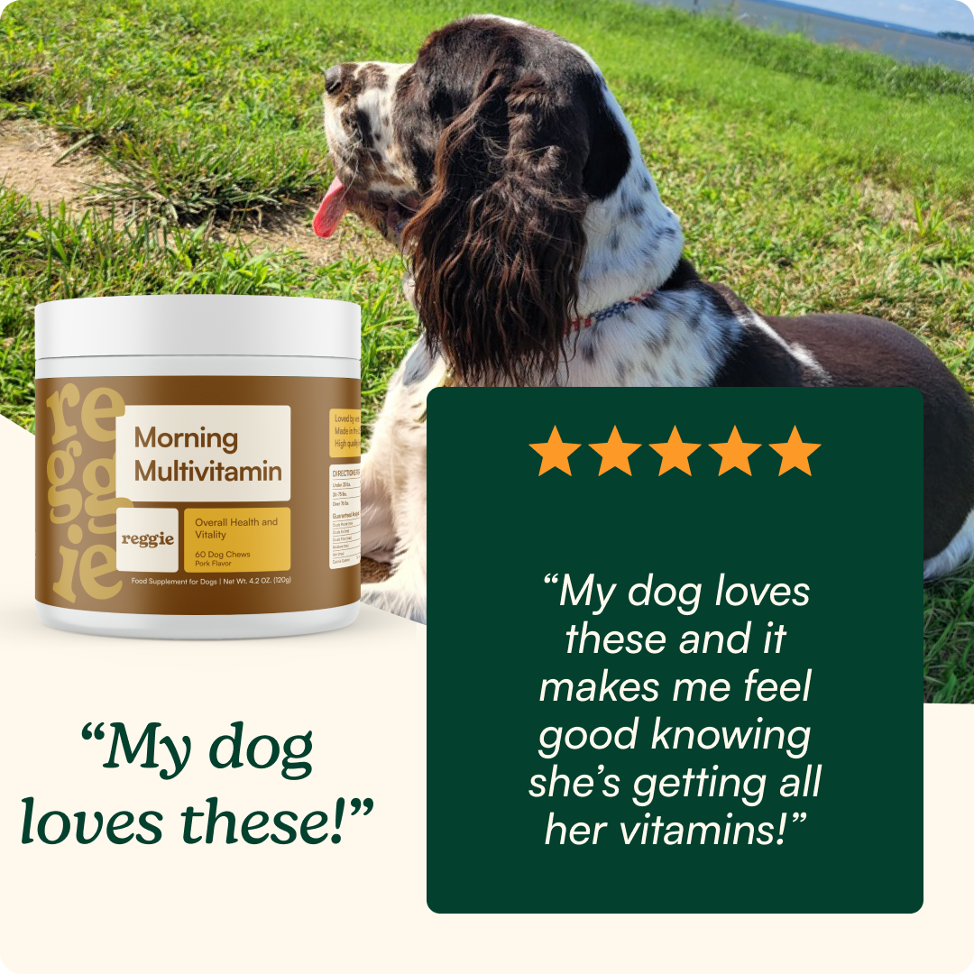 Morning Multivitamin Chews