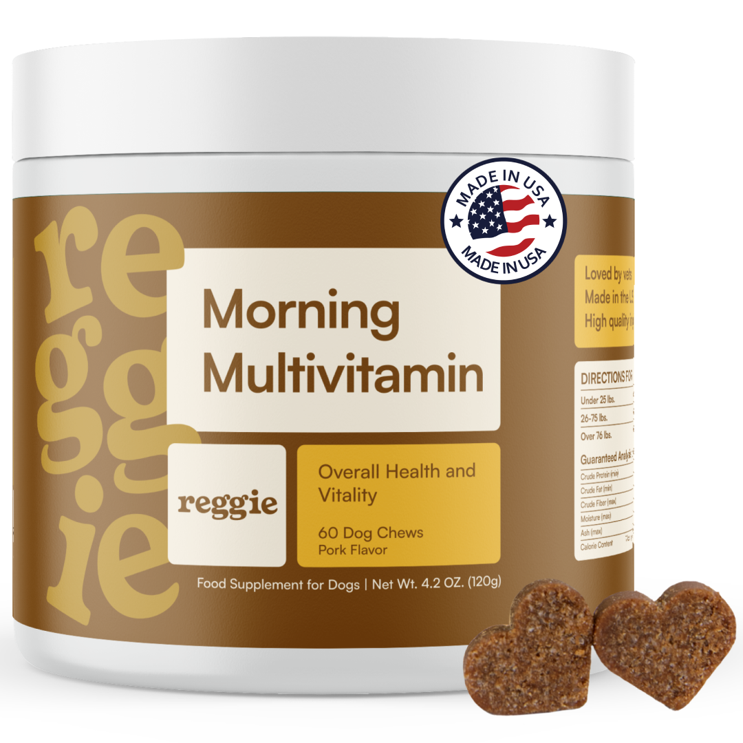 Morning Multivitamin Chews