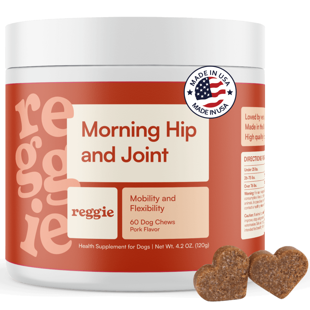 Morning Hip + Joint Chews
