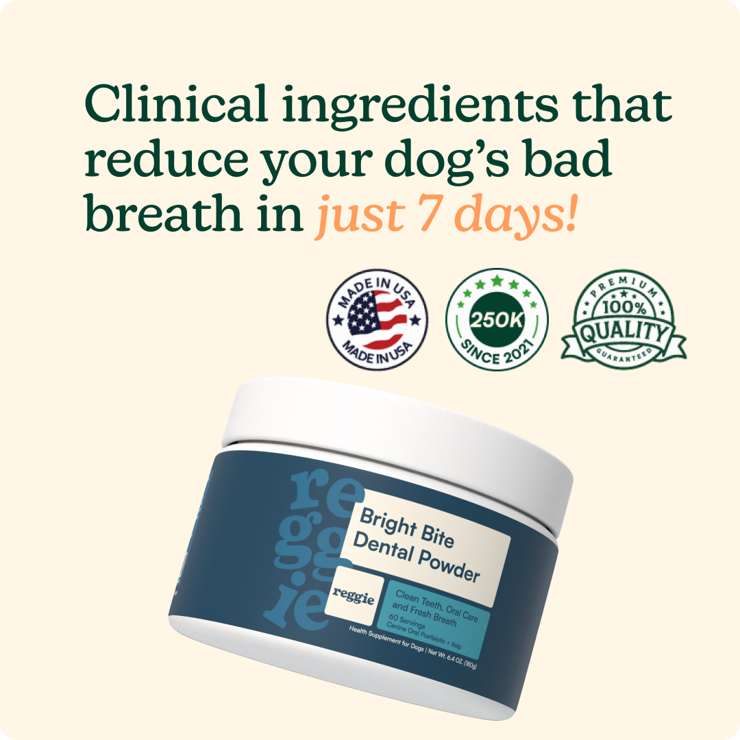 Bright Bite Dental Powder