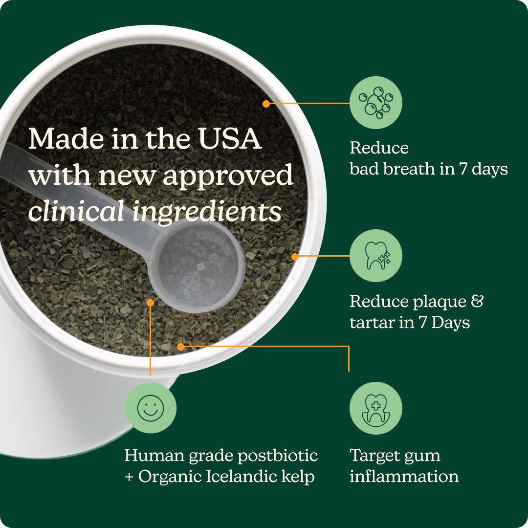 Bright Bite Dental Powder